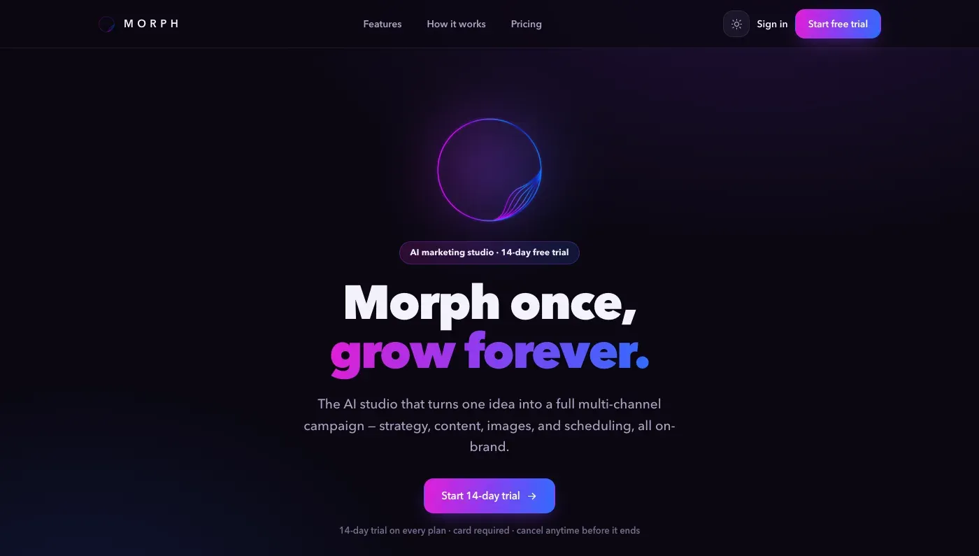 TheMorph Product preview